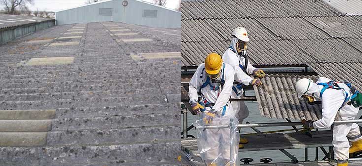 Asbestos inspection Melbourne