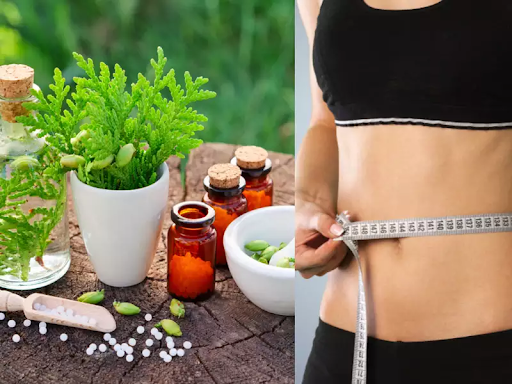 Factors To Notice For Finding The Best Weight Loss Naturopathy