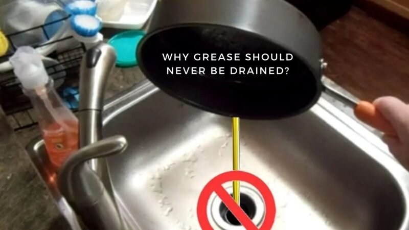 Why Grease Should Never Be Drained