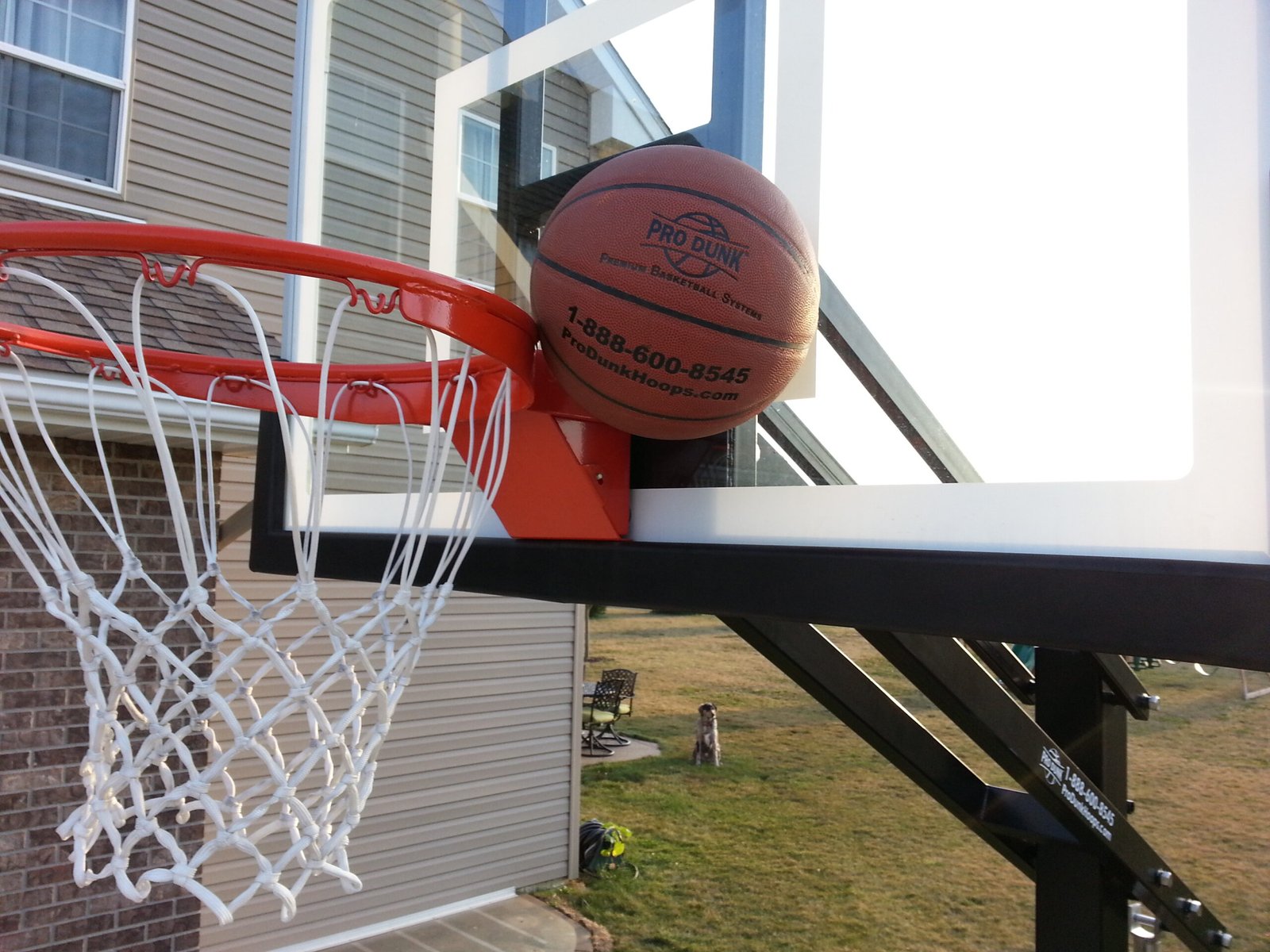 What Should You Look for When Choosing a Basketball System?